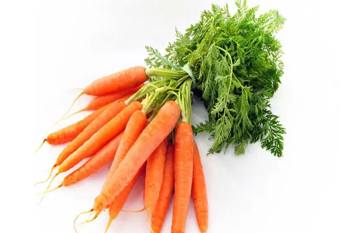 গাজর: শীতকালের জনপ্রিয় সবজিগুলোর মধ্যে গাজর অন্যতম। এতে আছে প্রাকৃতিক বিটা–ক্যারোটিন, যা শরীরে প্রবেশ করে ভিটামিন–এ-তে রূপ নেয়। ভিটামিন–এ শ্বাসযন্ত্রকে সুরক্ষা দেয় এবং সংক্রমণের বিরুদ্ধে প্রথম প্রতিরক্ষা স্তরকে শক্তিশালী করে।