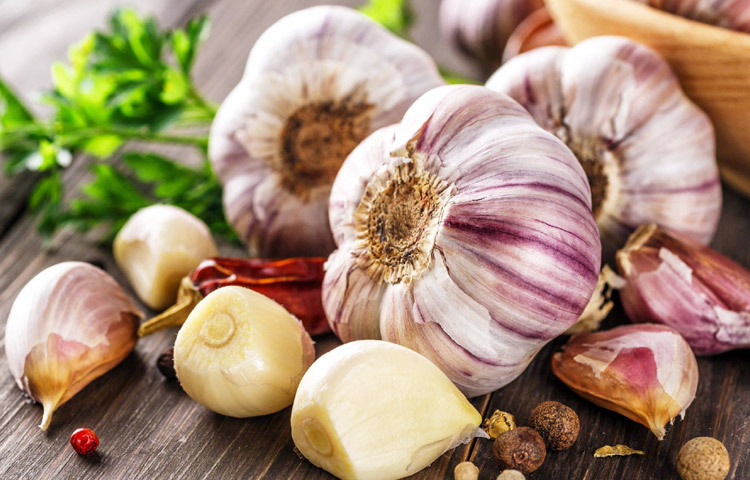 রসুনের প্রিবায়োটিক অন্ত্রের উপকারী বিফিডোব্যাকটেরিয়ার বৃদ্ধিতে সাহায্য করে, যা ব্যাকটেরিয়াজনিত অনেক পেটের রোগ প্রতিরোধে সাহায্য করে। তবে এ ক্ষেত্রে ভাত-শাকের সঙ্গে কাঁচা রসুনের কোয়া খেলে ভালো ফল পাওয়া যায়। ছবি: সংগৃহীত