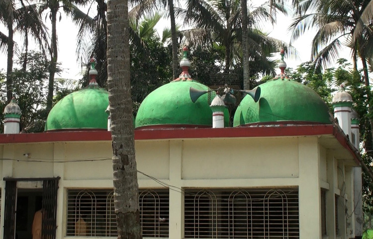 ঘোলদাড়ী শাহী জামে মসজিদটির নির্মাণশৈলী যে কোনো ব্যক্তিকে মুগ্ধ করবে। তিন গম্বুজবিশিষ্ট মসজিদটির স্থাপত্যশিল্প দারুণ নান্দনিক।