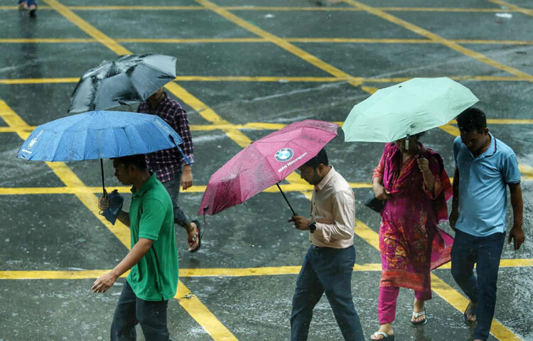 তবে বৃষ্টির ভোগান্তির মাঝেও প্রকৃতিপ্রেমীদের চোখে আজকের সকালটা অন্যরকম।