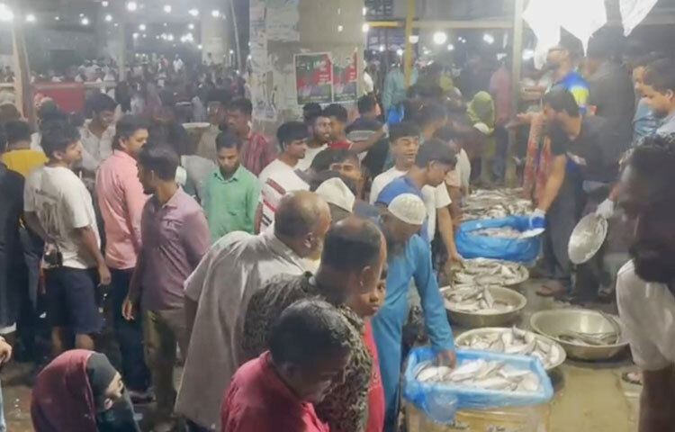 মাছ ব্যবসায়ী রুস্তম আলী বলেন, প্রতি বছর একবারই এই রাতের ইলিশ মেলা বসে। মেলায় রাতভর চলে রূপালী ইলিশের বেচাকেনা। এবার এক রাতের এ মেলায় অন্তত ৮০ থেকে ১০০ টন ইলিশ কেনাবেচা হয়।মাছের আমদানি থেকে ক্রেতার সংখ্যা বেশি।