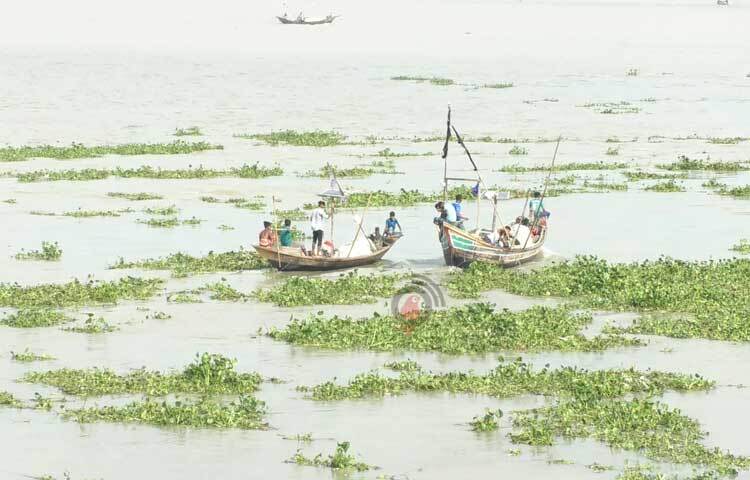 ভোলার মেঘনা ও তেঁতুলিয়া নদীতে ইলিশের ভরা মৌসুম শুরু হলেও জেলেদের জালে মিলছে না কাঙ্ক্ষিত ইলিশ। ছবি: জুয়েল সাহা বিকাশ