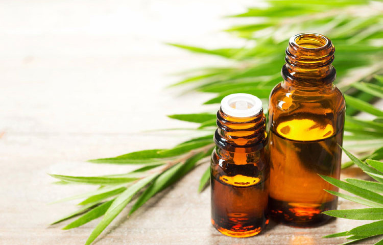 পেপারমিন্ট অয়েল: স্ক্যাল্পে ঠান্ডা অনুভূতি এনে দেয় পেপারমিন্ট তেল। আধ চা চামচ পেপারমিন্ট এসেনশিয়াল অয়েলের সঙ্গে দেড় চা চামচ নারিকেল বা অলিভ অয়েল মিশিয়ে সারা মাথায় লাগান। এক ঘণ্টা রেখে তারপর ধুয়ে ফেলুন। এই প্রক্রিয়াটি সপ্তাহে দুইবার করলেই চুলকানির সমস্যা অনেকটাই কমে আসবে।