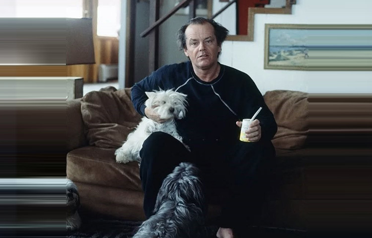 একাধিক অস্কারজয়ী এই অভিনেতা তার অসাধারণ অভিনয়ের জন্য বিশ্বজুড়ে সম্মানিত।