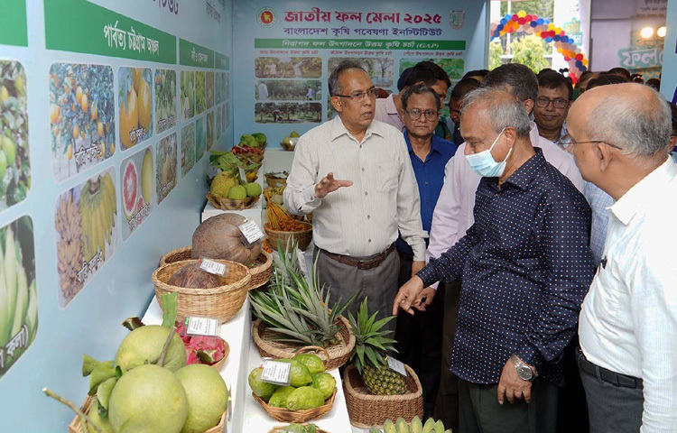 ঢাকায় ফার্মগেটে কৃষিবিদ ইনস্টিটিউশন বাংলাদেশে জাতীয় ফল মেলা উদ্বোধন শেষে মেলা পরিদর্শন করেন কৃষি উপদেষ্টা লেফটেন্যান্ট জেনারেল (অব.) মো. জাহাঙ্গীর আলম চৌধুরী। ছবি: পিআইডি