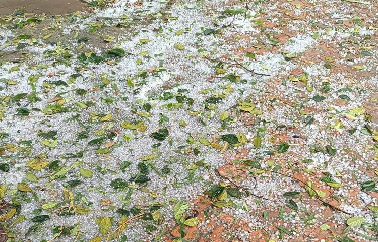 ১৯ মার্চ বিকেলে জামালপুরের বিভিন্ন উপজেলায় শিলা বৃষ্টি হয়েছে। তবে রাতে থেকে এখন পর্যন্ত বৃষ্টির সঙ্গে হালকা বাতাস বইছে। ছবি: নাসিম উদ্দিন