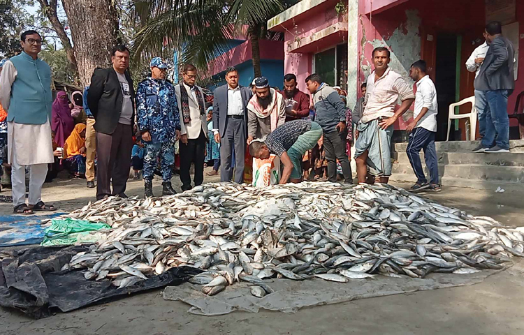 লক্ষ্মীপুরের রায়পুরে প্রশাসনের অভিযানে জব্দ হওয়া তিন টন জাটকা বিনামূল্যে এতিমখানায় বিতরণ করা হয়েছে। ছবি: কাজল কায়েস