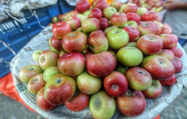 শীত মানেই পুষ্টিকর ফল-সবজির মৌসুম। আর এই বিদেশি ফলগুলো সেই পুষ্টির সরবরাহকে আরও সমৃদ্ধ করছে। বিশেষ করে শিশু ও বয়স্কদের রোগ প্রতিরোধ ক্ষমতা বাড়াতে কমলা আর আপেলের ভূমিকা এই সময়ে বেশি উল্লেখযোগ্য।