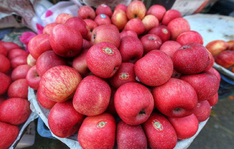 কারওয়ান বাজার ঘুরে দেখা গেছে, আপেল বিক্রি হচ্ছে ২৪০ থেকে ৩০০ টাকা কেজি দরে।
