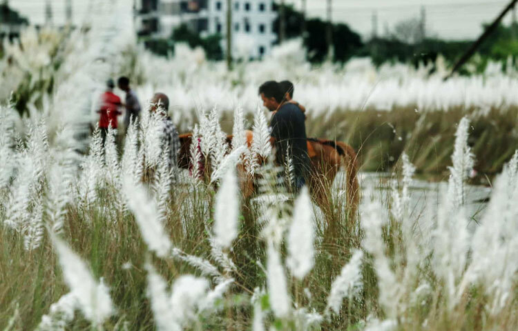 বিকেল নামতেই দেখা যায় ভিড় জমছে পরিবার, বন্ধু ও প্রিয়জনদের।