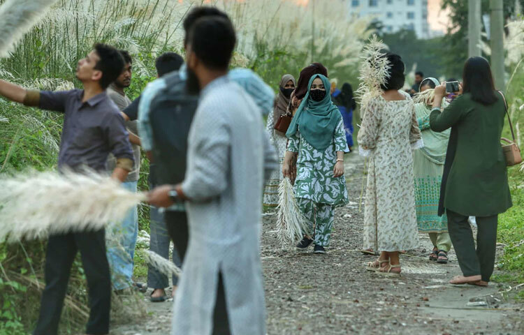 শহরের ভেতরে এমন প্রকৃতির কাছাকাছি আসার সুযোগ বিরল। তাই ঢাকার নাগরিক জীবনের ক্লান্তি দূর করতে শুভ্র কাশফুল হয়ে উঠেছে সবার প্রিয় সঙ্গী।