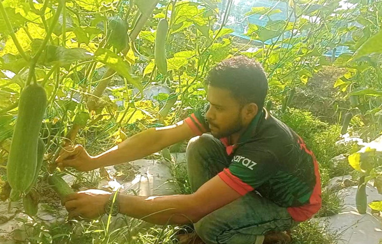 এদিকে কৃষি জমিতে শাক-সবজি চাষে সফল হওয়ায় এলাকার বেকার যুবকরাও তাকে দেখে আত্মনির্ভরশীল হওয়ার স্বপ্ন দেখছেন।