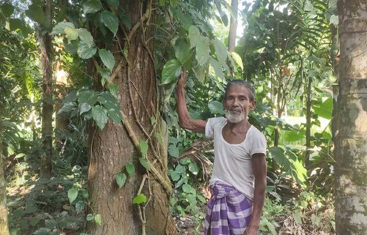কুড়িগ্রাম কৃষি সম্প্রসারণ অধিদপ্তরের উপপরিচালক আব্দুল্লাহ আল মামুন বলেন, কুড়িগ্রামে চুইঝাল চাষে কৃষকের আগ্রহ বেড়েছে। বাড়তি খরচ না থাকায় এটি বিক্রি করে ভালো আয় করতে পারছেন।