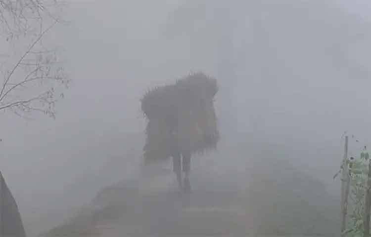 কয়েকদিনের বিরতির পর কুড়িগ্রামে আবারও জেঁকে বসেছে হিমেল হাওয়া ও কনকনে ঠান্ডা। শুক্রবার রাত থেকে শুরু হওয়া ঘন কুয়াশা আর শীতল বাতাসে জেলাজুড়ে জনজীবন স্থবির হয়ে পড়েছে। ছবি: রোকনুজ্জামান মানু