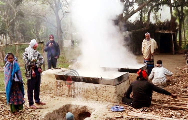 তীব্র শীত উপেক্ষা করে গুড় তৈরিতে ব্যস্ত সময় পার করছেন কুষ্টিয়ার ভেড়ামারার আখ চাষিরা। ছবি:  আল মামুন সাগর