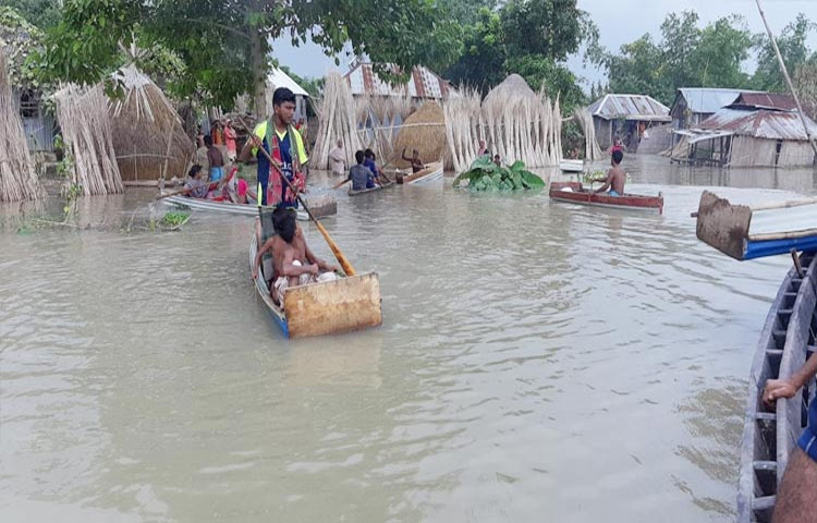 কুষ্টিয়ার পদ্মা ও গড়াই নদীর পানি বাড়ছে। গত এক সপ্তাহে পদ্মা নদীর পানি বেড়েছে অন্তত ১৫০ সেন্টিমিটার। ছবি: আল-মামুন সাগর