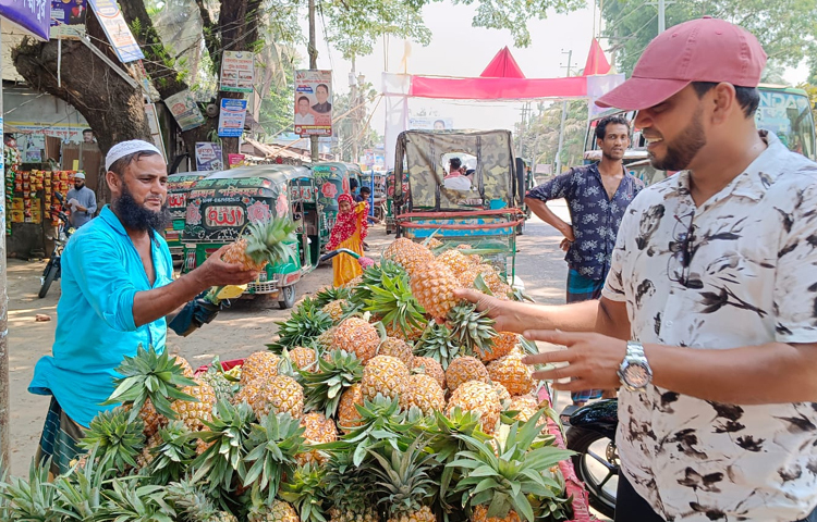 পছন্দমতো আনারস কিনছেন ক্রেতা। ছবি: কাজল কায়েস