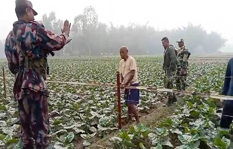 লালমনিরহাটের পাটগ্রাম উপজেলার দহগ্রাম সীমান্তের শূন্যরেখায় লাগানো সেই কাঁটাতারের বেড়া এবার বাঁশের বাতা বেঁধে শক্ত করা চেষ্টা চালিয়েছে বিএসএফ। ছবি: রবিউল হাসান