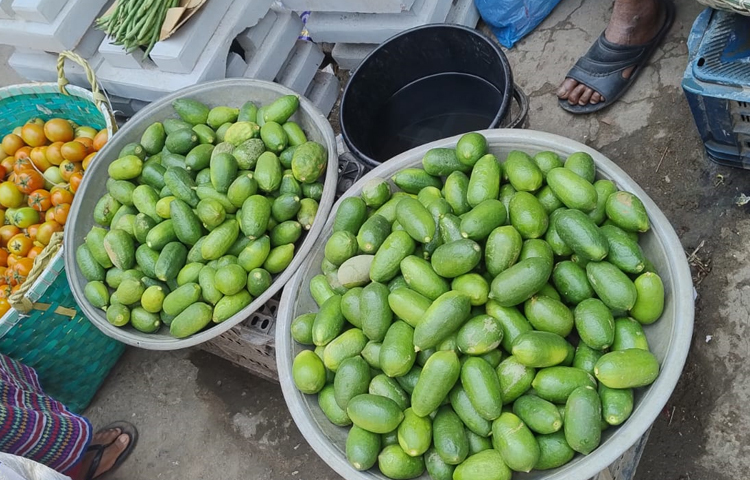 চট্টগ্রামের মিরসরাইয়ে রোজার প্রথম দিনেই পাঁচ টাকার লেবু বিক্রি হচ্ছে ২০ টাকায়। ছবি: এম মাঈন উদ্দিন