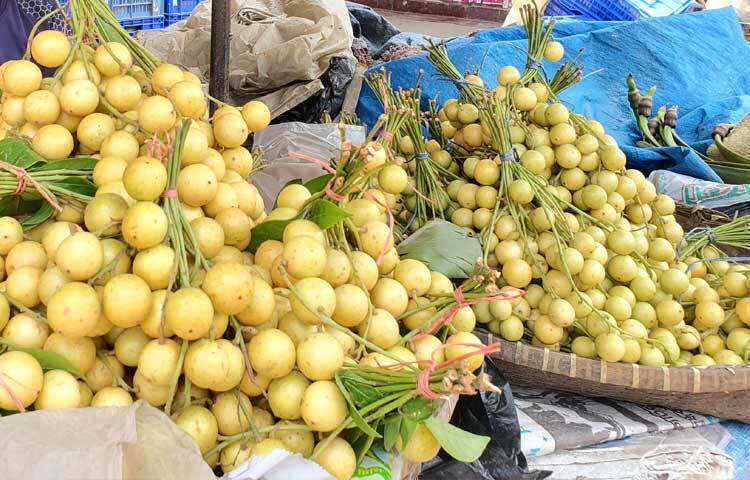দিন দিন ব্যাপক হারে চাহিদা বাড়ছে পাহাড়ের টক-মিষ্টি ফলটির। ছবি: মুজিবুর রহমান ভুইয়া