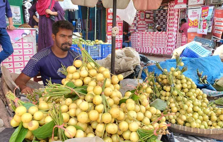 পাহাড়ি বাজার ছাড়িয়ে সমতলের বিভিন্ন জেলায় লটকনের ব্যাপক চাহিদা তৈরি হয়েছে। ছবি: মুজিবুর রহমান ভুইয়া