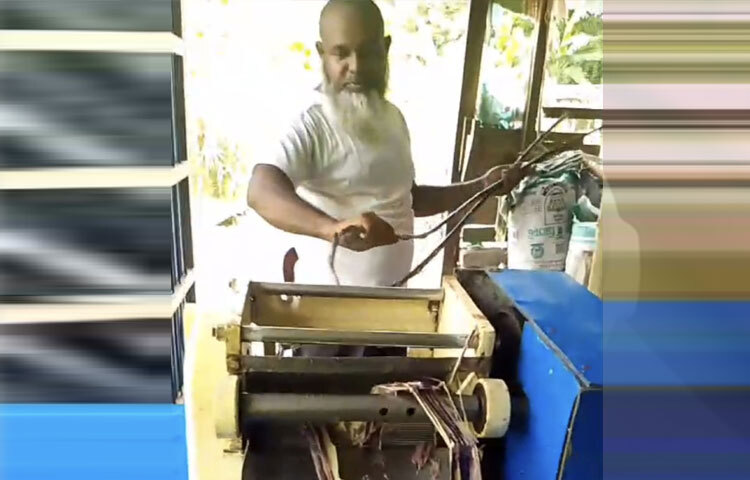 পৌরসভার নাওরা মিঠাপুর গ্রামের মোহাম্মদ সাইফুল ইসলামের স্ত্রী খাদিজা বেগম। তিনি মাত্র ১০ শতক জমিতে বিশেষ ধরনের ঘাস চাষ করে তৈরি করছেন গুড়। এ উদ্ভাবনী উদ্যোগ তাকে শুধু আর্থিক সচ্ছলতাই এনে দেয়নি বরং স্থানীয়দের কাছেও নতুন উদ্যোক্তা ও অনুপ্রেরণার উৎস হিসেবে পরিচিতি লাভ করেছেন।