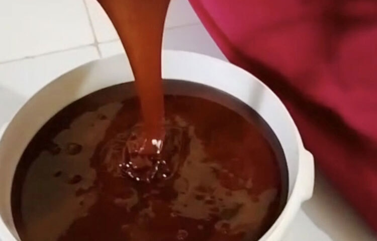 খাদিজা বেগম স্থানীয় কৃষি কর্মকর্তাদের পরামর্শে ১০ শতক জমিতে নেপিয়ার ঘাস (লাল জাতের) নামক বিশেষ জাতের ঘাস চাষ শুরু করেন। এ ঘাস থেকে বিশেষ প্রক্রিয়ায় গুড় তৈরির কৌশল শিখে নেন।