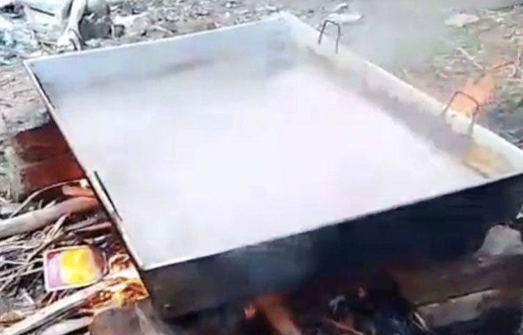 উপজেলা স্বাস্থ্য ও পরিবার পরিকল্পনা কর্মকর্তা মো. নিয়াজ মুস্তাফি চৌধুরী বলেন, ‘পুষ্টিমান উদ্ভিদজাত প্রাণীদেহের জন্য উপকারী। তবে ঘাসে যদি বিষাক্ত কীটনাশক ও গ্রোথ হরমোন প্রয়োগ না করে সঠিক প্রক্রিয়ার মধ্যে রস থেকে গুড় তৈরি করেন, তাহলে এটি মানবদেহের জন্য ক্ষতিকর নয়।’