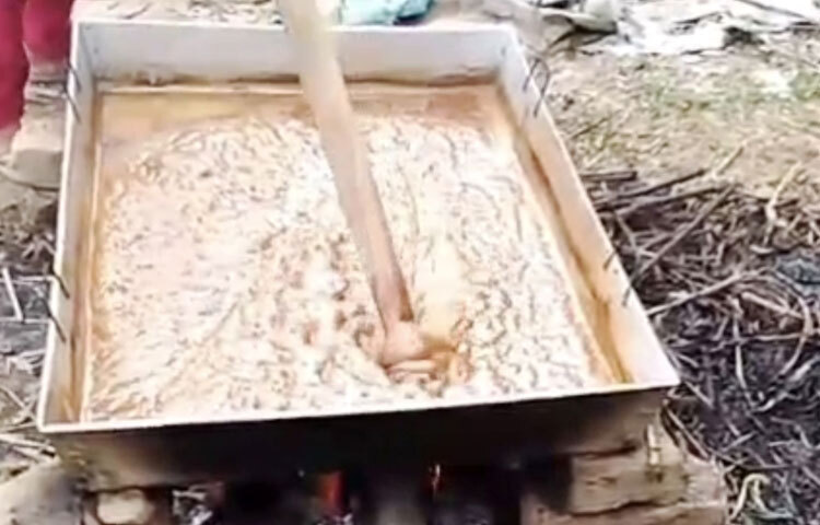 এক কেজি গুড় তৈরি করতে ৬০টি ঘাসের গাছ লাগে। যার ওজন প্রায় ১৫ কেজি। প্রতিটি গাছ লম্বায় প্রায় ৮ ফুট, আখের চেয়ে একটু চিকন। ৬০টির মতো ঘাসে রস হয় ৬-৭ কেজি। এতে ১ কেজি গুড় হয়।