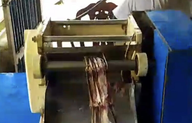 এ ছাড়া তিনি ১ একর জমিতে দেশি-বিদেশি বিভিন্ন ফল ও সবজি চাষ করছেন। তার বাগানে আপেল, পেঁপে, আঙুর এবং সৌদি আরবের খেজুর গাছও আছে। এসব ফল ও সবজি বিক্রি করে তিনি প্রতিদিন প্রায় ১৫০০ টাকার মত আয় করেন। সব মিলিয়ে তারা এখন স্বাবলম্বী। তাদের অভাবের সংসারে ফিরে এসেছে সচ্ছলতা। সন্তানেরাও এখন ভালোভাবে পড়াশোনা চালিয়ে যেতে পারছেন।