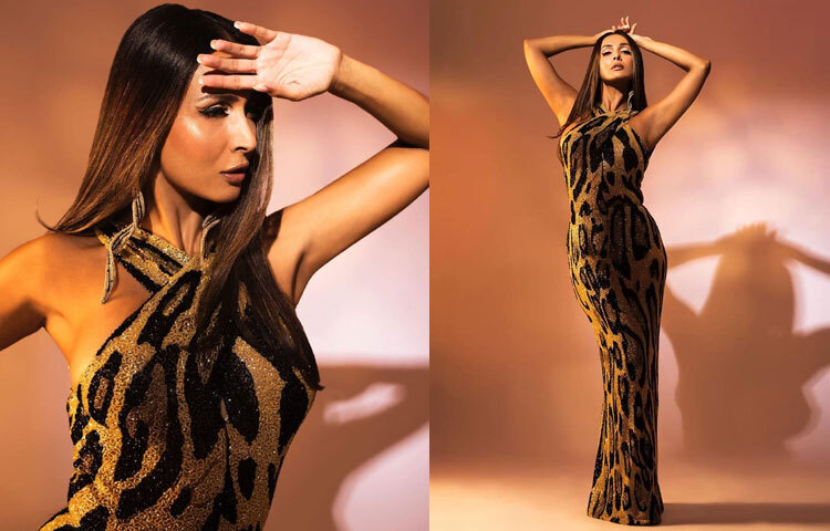 রেড কার্পেট হোক কিংবা জিম লুক, মালাইকা সব জায়গাতেই ফ্যাশনের নতুন মানদণ্ড তৈরি করেন।