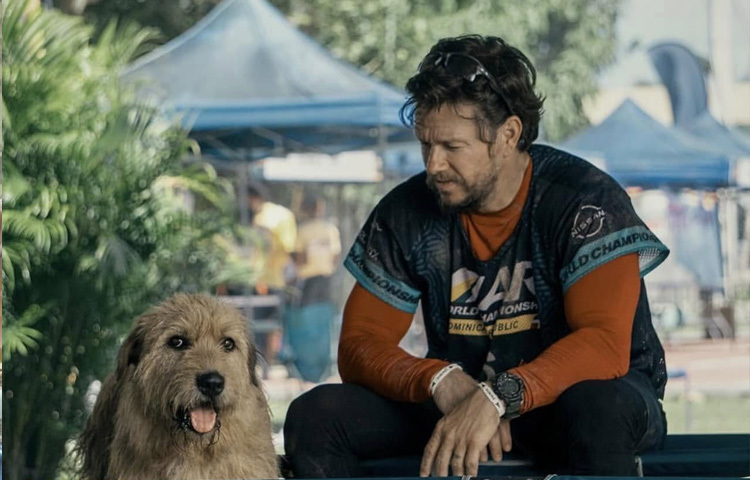 প্রথম বড় পর্দায় অভিষেক ঘটে ‘রেনেসাঁস ম্যান’ (১৯৯৪) সিনেমায়। এরপর ‘বুগি নাইটস’ (১৯৯৭) এ অভিনয় করে সমালোচকদের নজর কাড়েন। এই সিনেমায় এক পর্নস্টারের ভূমিকায় তার সাহসী অভিনয় ছিল ক্যারিয়ারের অন্যতম মোড় ঘোরানো কাজ। এরপরে ‘থ্রি কিংস’, ‘দ্য পারফেক্ট স্টর্ম’, ‘প্ল্যানেট অব দ্য এপস’ প্রতিটি সিনেমায় নিজেকে প্রমাণ করতে থাকেন।