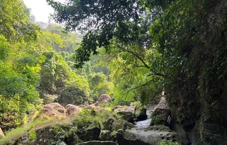 পিচ্ছিল ঝিরিপথ, খাড়া পাহাড় ও বাদুইজ্জাখুম পার হয়ে যাওয়ার সময় যে রোমাঞ্চকর অনুভূতির সৃষ্টি হয়, সেই অভিজ্ঞতা সারা জীবনের এক অনন্য সঞ্চয়। এই ট্রেইলে নানা রকমের গাছের পাতা, পশুপাখি, সঙ্গে স্বচ্ছ পানি, আর এই স্বচ্ছ পানিতে অনেকে ঘা ভেজাতে ভুল করেনা। ছবি: এম মাঈন উদ্দিন