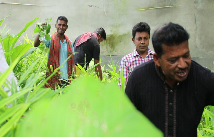 কম খরচে বেশি লাভ, কম পরিশ্রম এবং সহজ পরিচর্যার কারণে কৃষকদের আগ্রহ বাড়ছে।