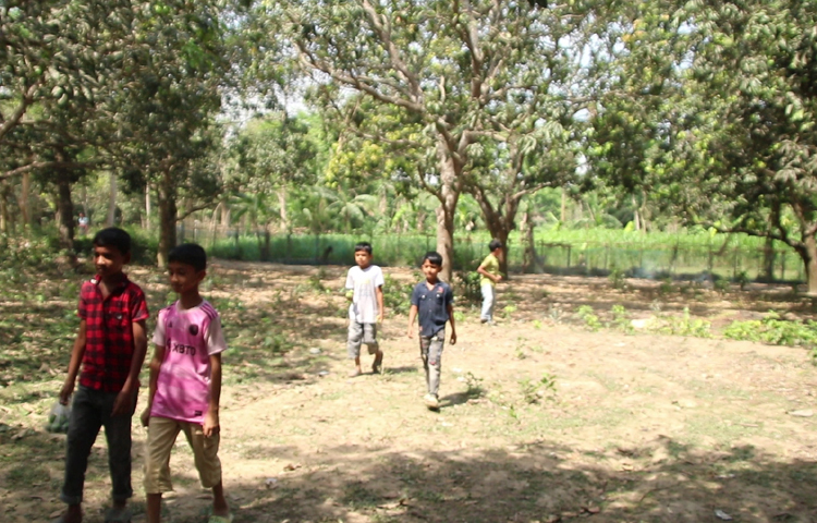 চলতি বছরে জেলায় সাড়ে ৮ হাজার টন লিচুর উৎপাদন লক্ষ্যমাত্রা ধরা হয়েছে। আমের বাগান আছে ৩ হাজার ৩৩৬ হেক্টর। ল্যাংড়া, বোম্বাই, হিমসাগর, ফজলি, আম্রপালি, গোপাল ভোগ, হাড়িভাঙাসহ বেশ কয়েকটি জাতের আম বাগান আছে। ছবি: আসিফ ইকবাল