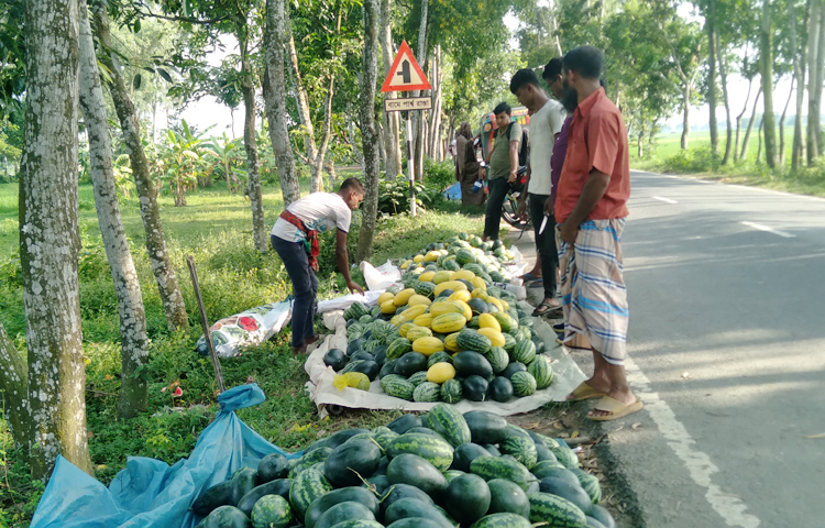 এ পদ্ধতিতে শীতকালের তিন মাস বাদে ৯ মাস তরমুজ উৎপাদন সম্ভব। কম খরচে বেশি লাভ হওয়ায় অন্য ফসল বাদ দিয়ে তরমুজ চাষে ঝুঁকছেন কৃষকেরা। বিঘাপ্রতি ৬০-৬৫ হাজার টাকা খরচ করে বিক্রি হয় ২ থেকে আড়াই লাখ টাকা। এতে বেকার যুবকদের কর্মসংস্থানের সুযোগ হচ্ছে। ছবি: আল মামুন