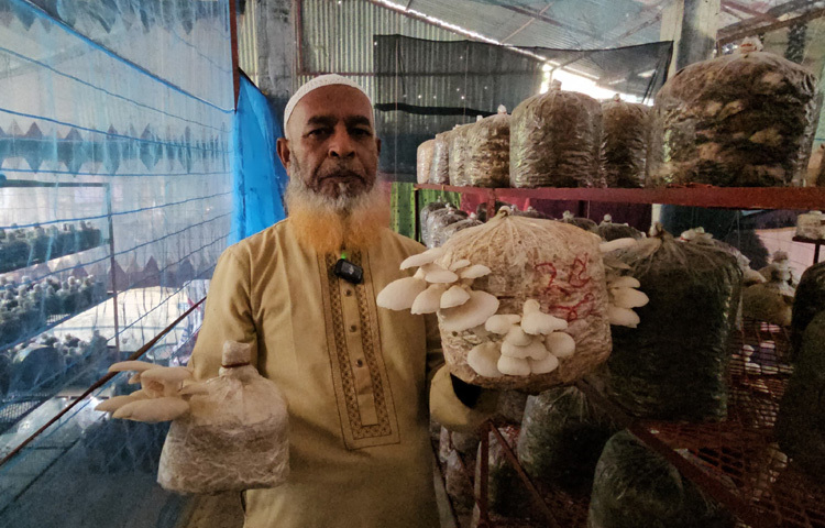 একসময় মাশরুম চাষের ভিডিও দেখে অনুপ্রাণিত হয়ে ২০২২ সালে ঝুঁকে পড়েন মাশরুম চাষে। এরপর তাকে আর পেছনে ফিরে তাকাতে হয়নি।