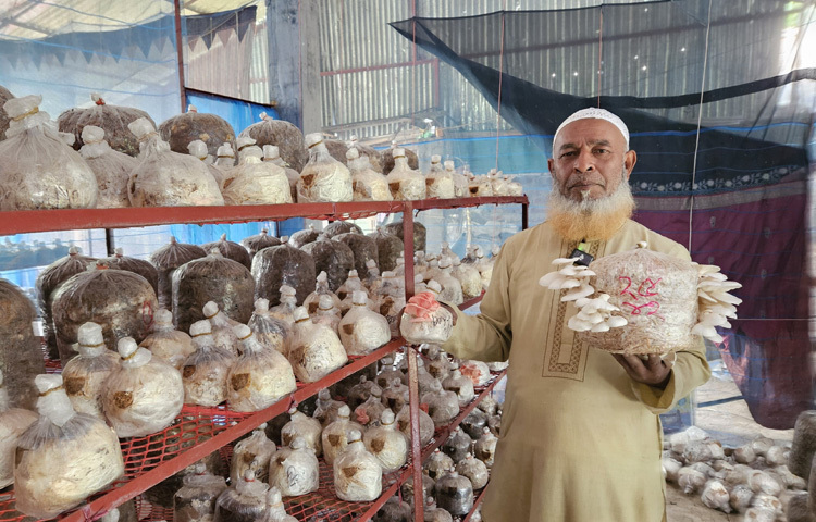 সব খরচ বাদ দিয়ে মাসে ১০-১৫ হাজার টাকা এবং বছরে প্রায় ১ থেকে দেড় লাখ টাকা আয় করেন তিনি। প্রাথমিক অবস্থায় খুব বেশি লাভ না হলেও ক্রমান্বয়ে বাড়তে থাকায় খুশি আবুল কাশেম।
