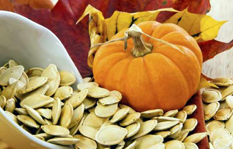 মিষ্টি কুমড়ার বীজেও রয়েছে অনেক উপকারিতা। মিষ্টি কুমড়ার বীজ শুধু পুষ্টি মানে সমৃদ্ধ নয়, এর রয়েছে প্রচুর ওষুধি গুণাবলী। ছবি: সংগৃহীত