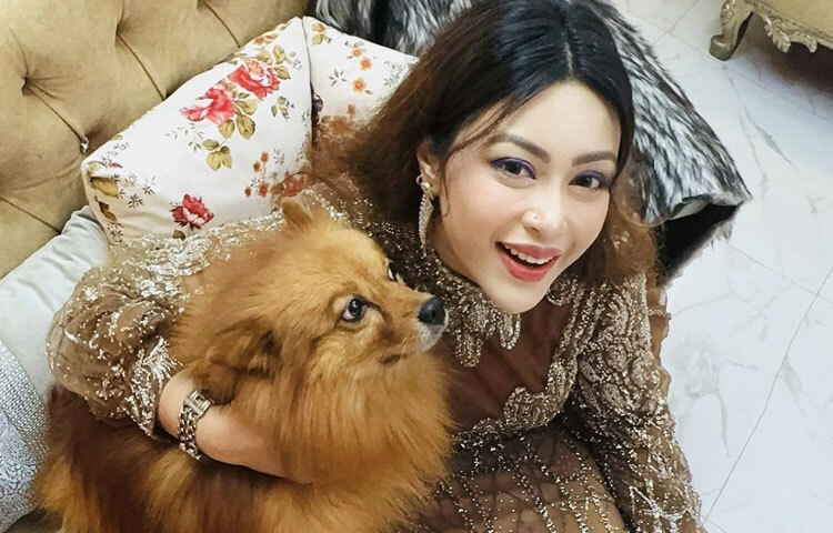 অভিনয়ে আসার শুরুটা ছিল বিজ্ঞাপনচিত্র দিয়ে। পরে ধীরে ধীরে সিনেমা ও নাটকে কাজ করে নিজের প্রতিভা প্রমাণ করেছেন মিষ্টি জান্নাত।