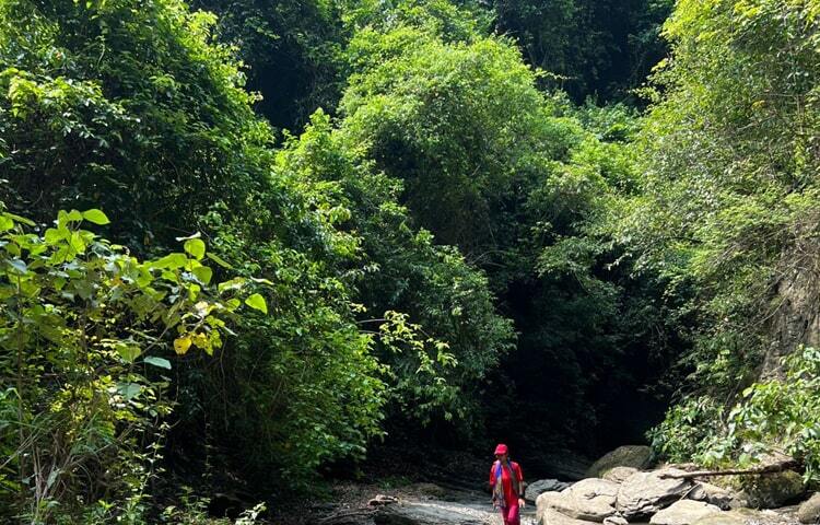 চলতি পথে অনেক দৃষ্টিনন্দন দৃশ্যে চোখ আটকায়। কখনো কখনো সেই সব প্রাকৃতিক সৌন্দর্য দেখার জন্য থমকে দাঁড়াবেন। চলতে চলতে ছোটবড় কিছু ক্যাসকেড, ঝিরি ও বুনোপথ পাড়ি দিয়ে পৌঁছে যাবেন সোনাইছড়া ঝরনায়। ছবি: এম মাঈন উদ্দিন