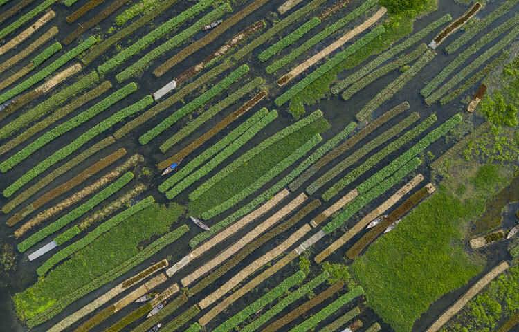 প্রদর্শনীতে বাংলাদেশের মানুষের জীবনধারা, সংস্কৃতি ও প্রাকৃতিক সৌন্দর্যের ভেতরে লুকিয়ে থাকা শান্তির প্রতিফলন ঘটেছে ৪০টি আলোকচিত্রে।