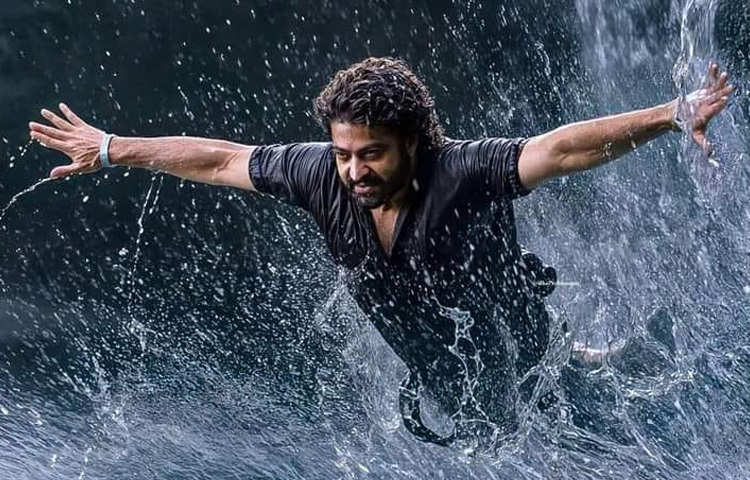 মাত্র ৮ বছর বয়সে ‘ব্রহ্মর্ষি বিশ্বামিত্র’ সিনেমায় অভিনয়ের মধ্য দিয়ে যাত্রা শুরু করেছিলেন। এরপর ‘স্টুডেন্ট নম্বর ওয়ান’, ‘আদি’, ‘সিংহদ্রি’, ‘টেম্পার’ থেকে ‘আরআরআর’ প্রতিটি সিনেমায় তিনি নিজেকে নতুন উচ্চতায় নিয়ে গেছেন।