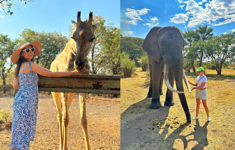 তিনি ফ্যাশনপ্রেমী, আবার একান্তে ভীষণ শান্ত প্রকৃতির মানুষ। নীতির সোশ্যাল মিডিয়া প্রোফাইল ঘুরে দেখলে বোঝা যায় জীবনের ছোট ছোট মুহূর্তগুলো উপভোগ করতেই তিনি ভালোবাসেন।