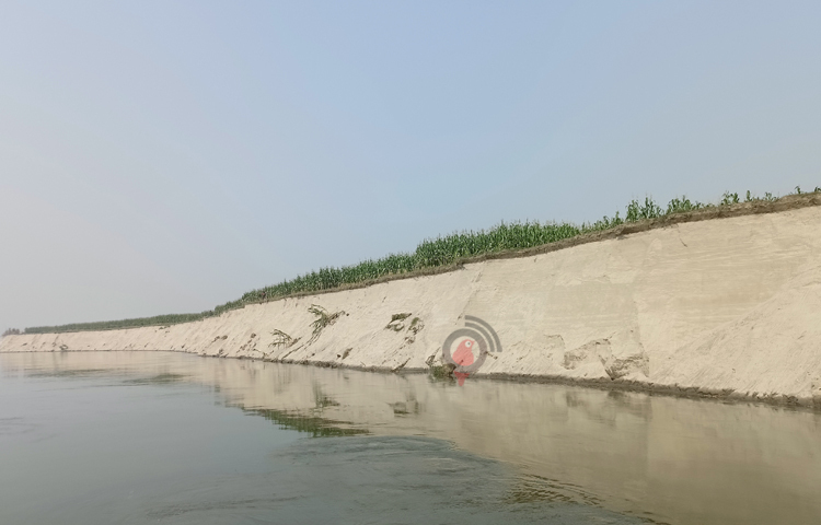 অসময়ে ভাঙনের কবলে গাইবান্ধার তিস্তা নদী। এরই মধ্যে প্রায় ৩০ বিঘা ভুট্টাক্ষেত বিলীন হয়েছে নদী গর্ভে। ক্ষেতের শস্য ও চাষযোগ্য জমি হারিয়ে এখন পাগলপ্রায় কৃষকরা। ছবি:  শামীম সরকার শাহীন
