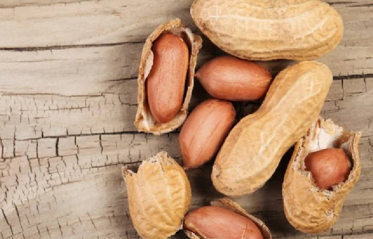 বাদাম খাওয়া রক্তে শর্করার মাত্রা নিয়ন্ত্রণ করতে ও টাইপ ২ ডায়াবেটিসের ঝুঁকি কমাতে সাহায্য করতে পারে। ছবি: সংগৃহীত