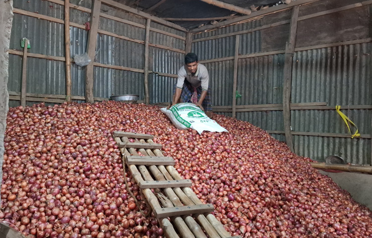 সকালে রাজবাড়ীর বৃহত্তম পাইকারি সোনাপুর পেঁয়াজ বাজার ঘুরে এমন চিত্র দেখা যায়। এদিন বাজারে প্রকারভেদে কৃষকরা প্রতি মণ পেঁয়াজ ৩ হাজার থেকে শুরু করে সাড়ে ৩ হাজার টাকা পর্যন্ত বিক্রি করেছেন। গত রোববার হাটে সর্বোচ্চ ৩ হাজার টাকা মণ পেঁয়াজ বেচা-কেনা হয় বলে জানা গেছে।