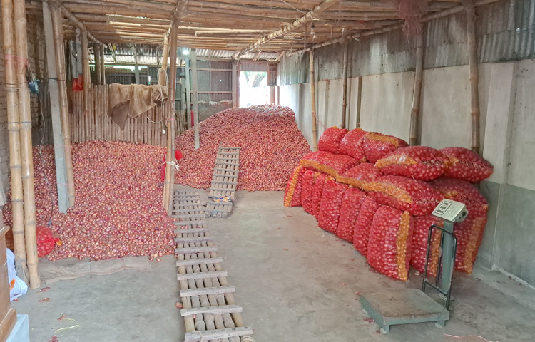 জেলার ৫ উপজেলায় কম বেশি পেঁয়াজের আবাদ হলেও কালুখালী, বালিয়াকান্দি ও পাংশায় সবচেয়ে বেশি পেঁয়াজ আবাদ হয়। এবছর হালি পেঁয়াজ আবাদের জন্য বীজতলা তৈরি, হালি কেনা, সার-কীটনাশক দিয়ে জমি প্রস্তুত, সেচ, শ্রমিক মুজরিসহ প্রতি বিঘায় প্রায় ৫০ থেকে ৭০ হাজার টাকা খরচ হচ্ছে চাষিদের।