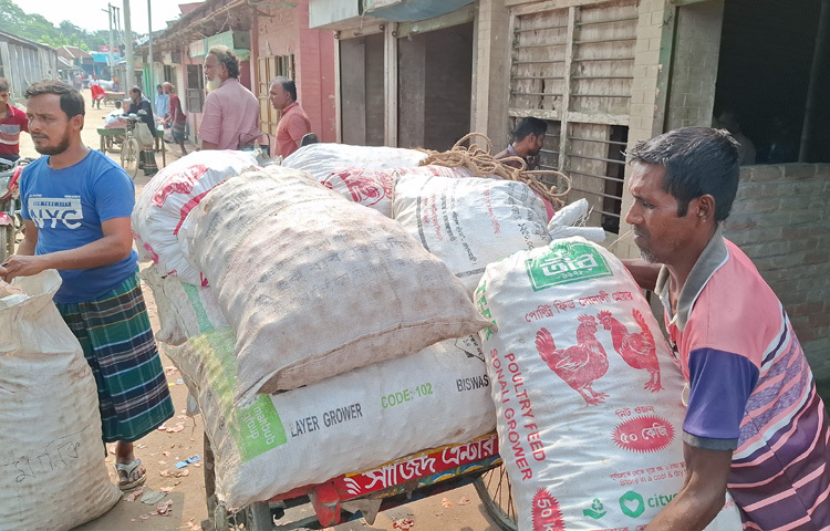 রাজবাড়ী জেলা কৃষি সম্প্রসারণ অধিদপ্তরের তথ্যমতে, এবছর জেলায় ৩৬ হাজার ২০ হেক্টরের মধ্যে প্রায় সাড়ে ৩১ হাজার হেক্টর জমিতে হালি পেঁয়াজ আবাদের লক্ষ্যমাত্রা নির্ধারণ করা হলেও আবাদ হয়েছে ৩৭ হাজার ৪৫০ হেক্টর জমিতে। পেঁয়াজ উৎপাদনের লক্ষ্যমাত্রা নির্ধারণ করা হয় প্রায় ৫ লাখ ২০ হাজার মেট্রিক টন।