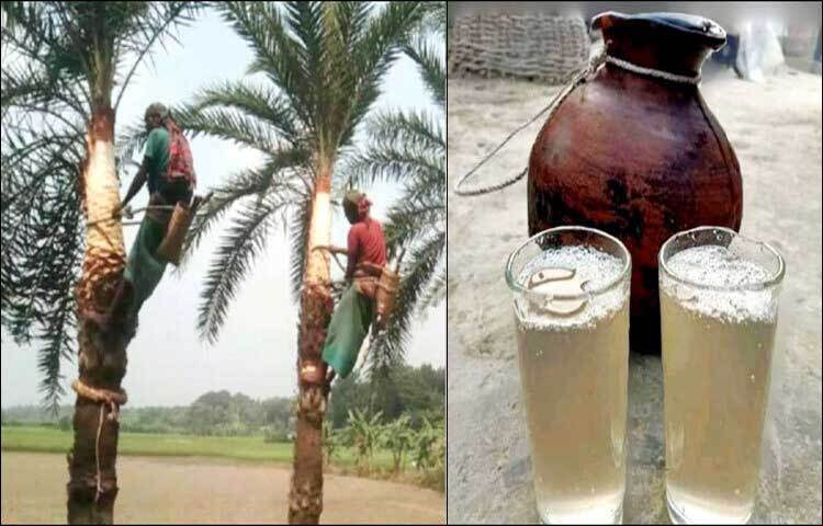 পাবনার ঈশ্বরদীতে খেজুরের রস পান করে একই পরিবারের নারী ও শিশুসহ পাঁচজন অসুস্থ হয়েছেন। তাদের রাজশাহী মেডিকেল কলেজ হাসপাতালে (রামেক) ভর্তি করা হয়েছে। ছবি: শেখ মহসীন